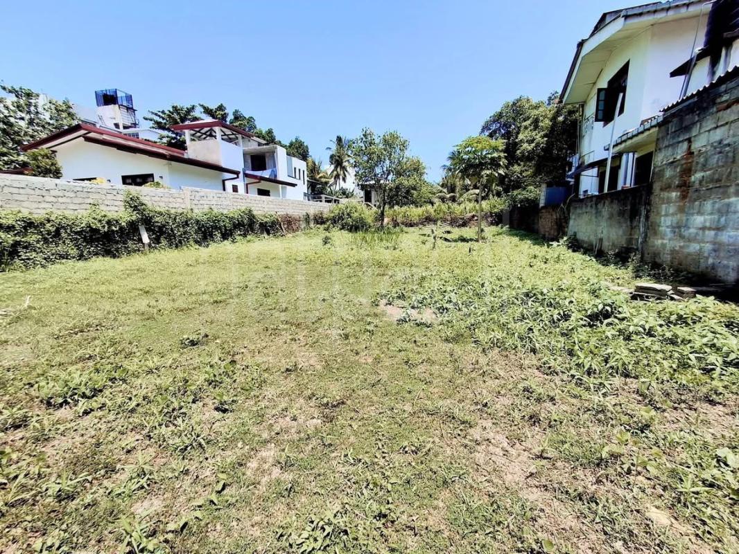 Agricultural Land for Sale in Panadura ads-image-1