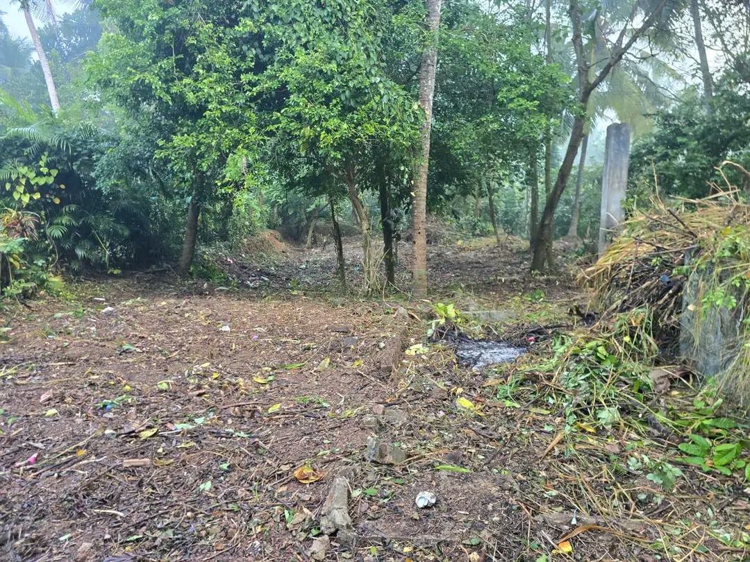 Agricultural Land for Sale in Pamunugama