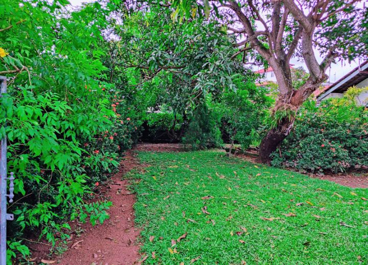 Residential Land for Sale in Wattala