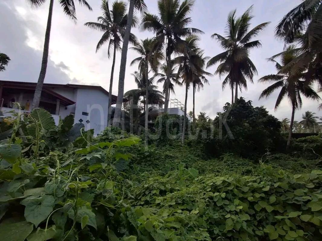 Commercial Land for Sale in Panadura