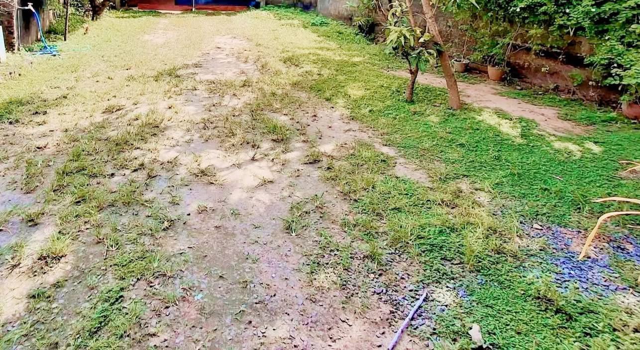 Agricultural Land for Sale in Panadura