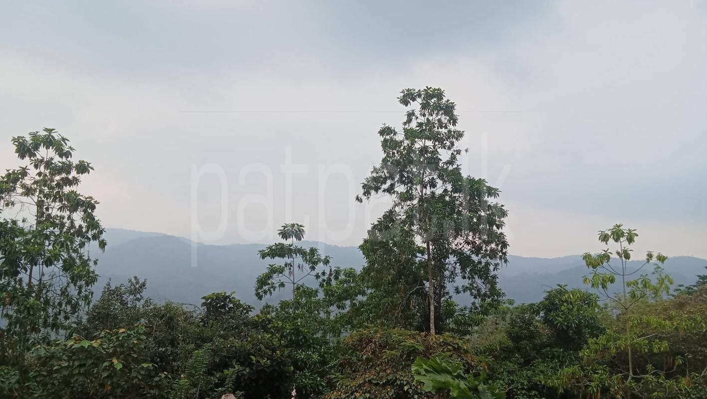 Agricultural Land for Sale in Deniyaya