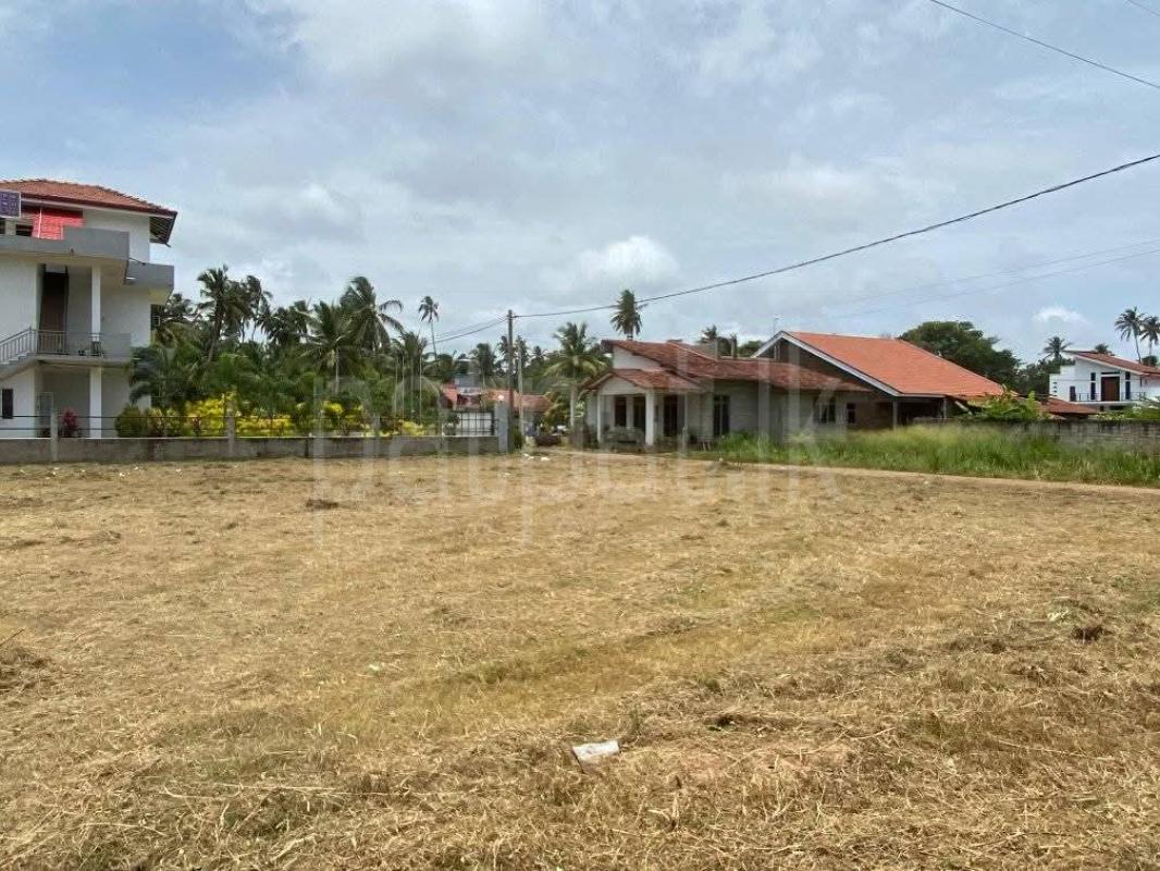 Residential Land for Sale in Marawila ads-image-1