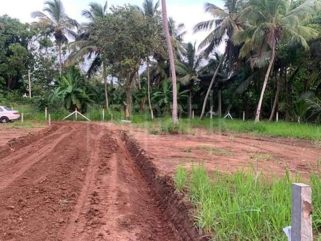 Agricultural Land for Sale in Anuradhapura