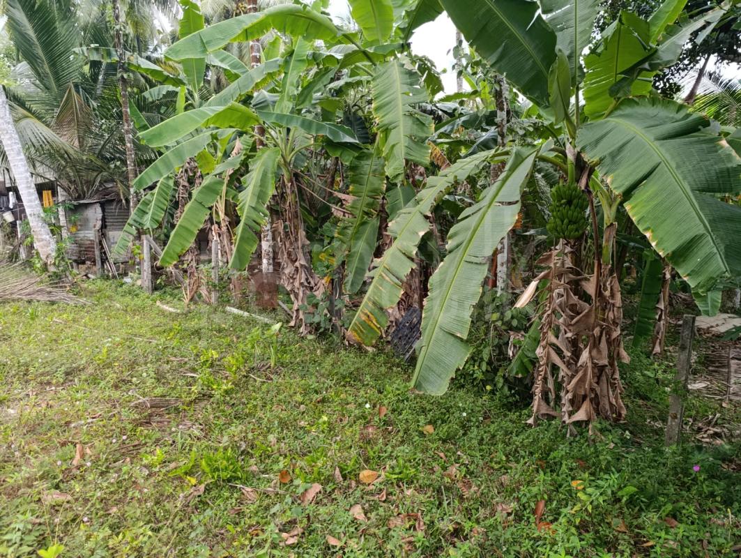 Residential Land for Sale in Horana