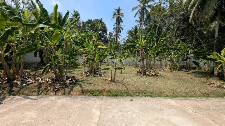 Commercial Land for Sale in Yakkala