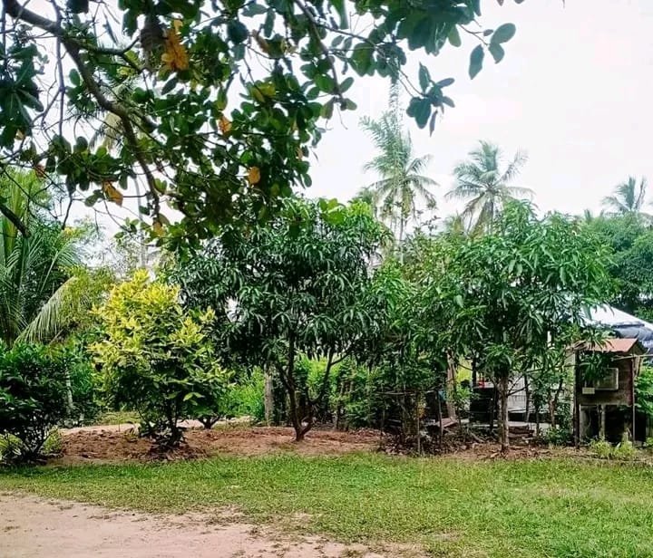 House for Sale in Kurunegala ads-image-1