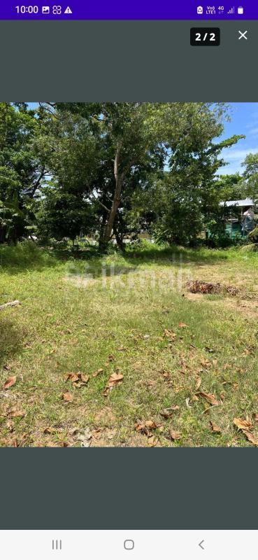 Commercial Land for Rent in Pamunugama ads-image-1