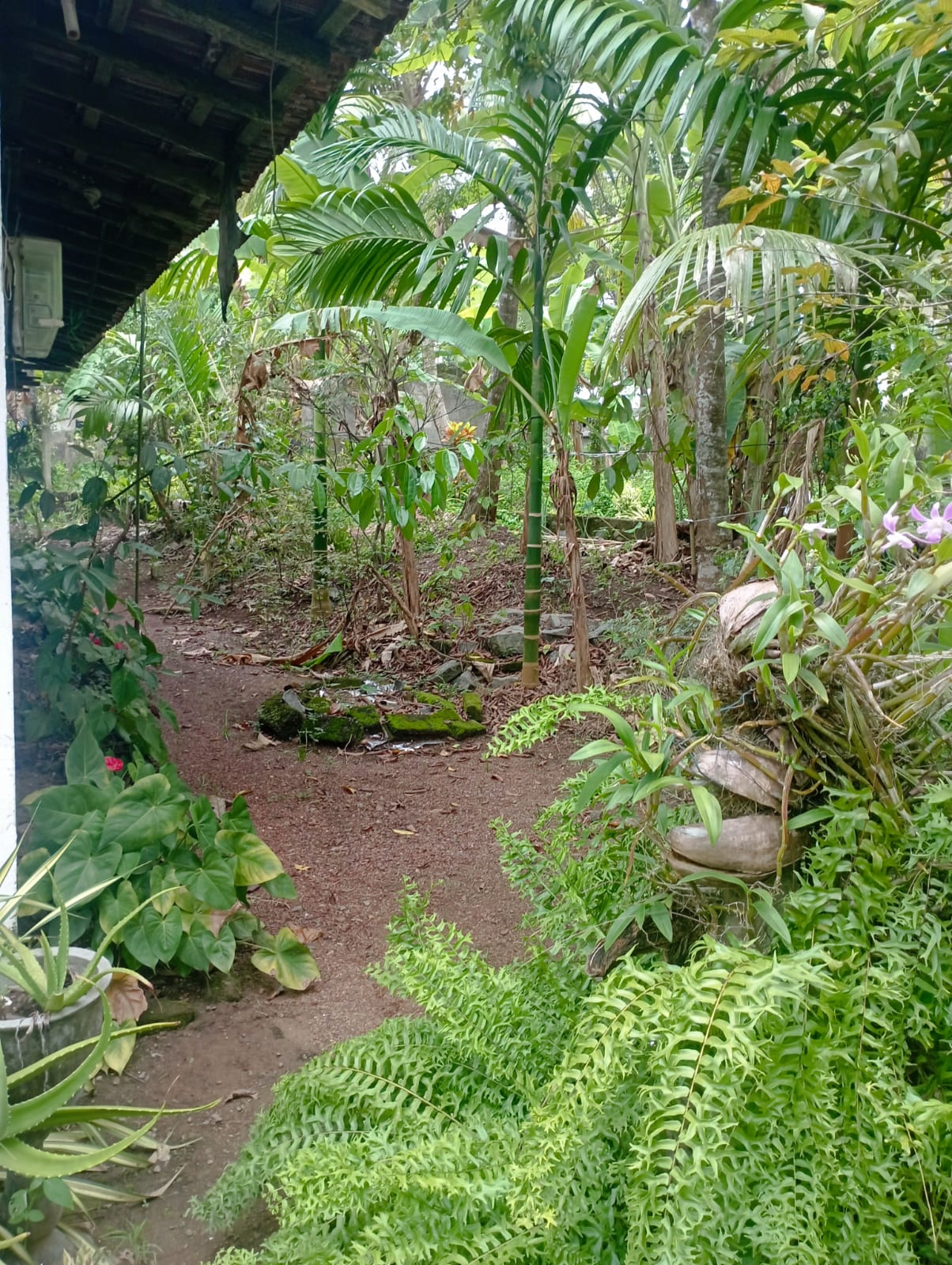 House for Sale in Ja-Ela