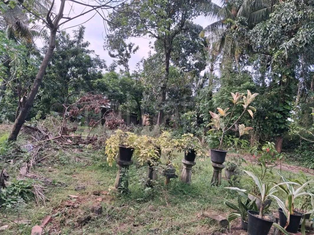Residential Land for Sale in Kandana