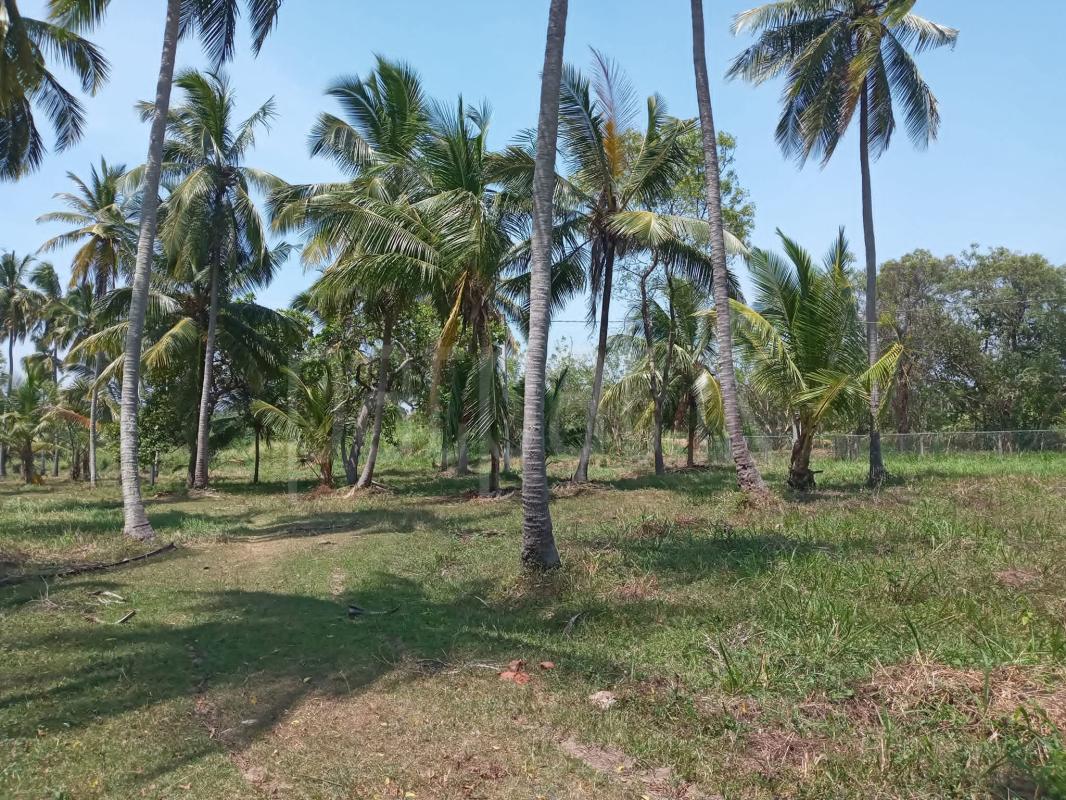 Agricultural Land for Sale in Kurunegala