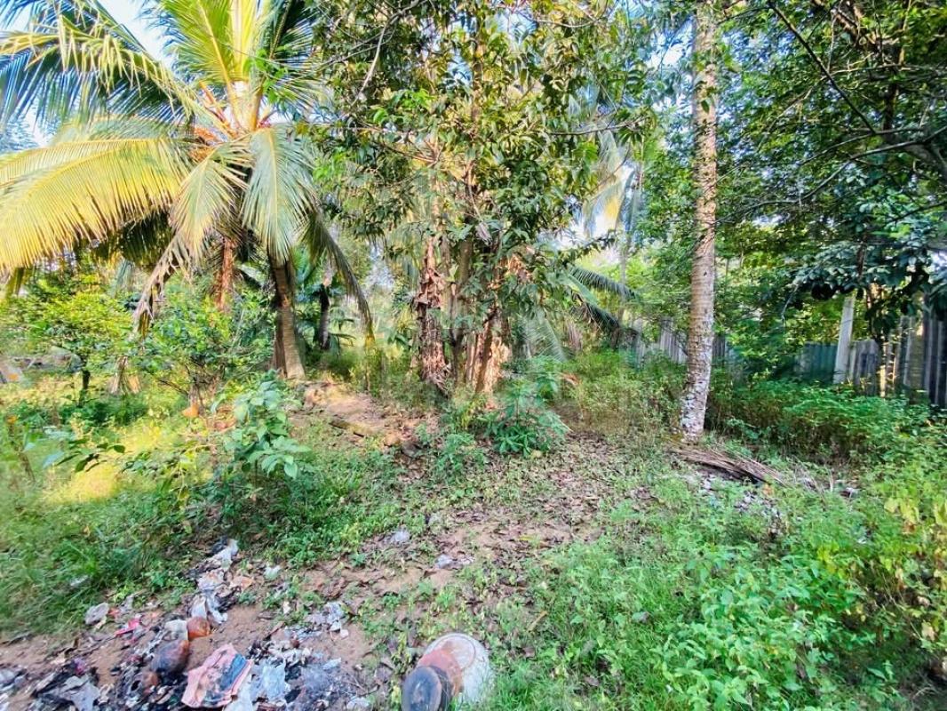 premium-listing-image