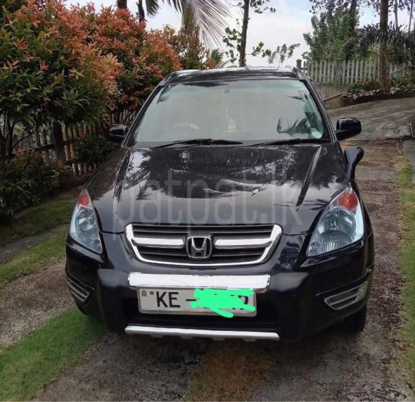 Advertisement image 6