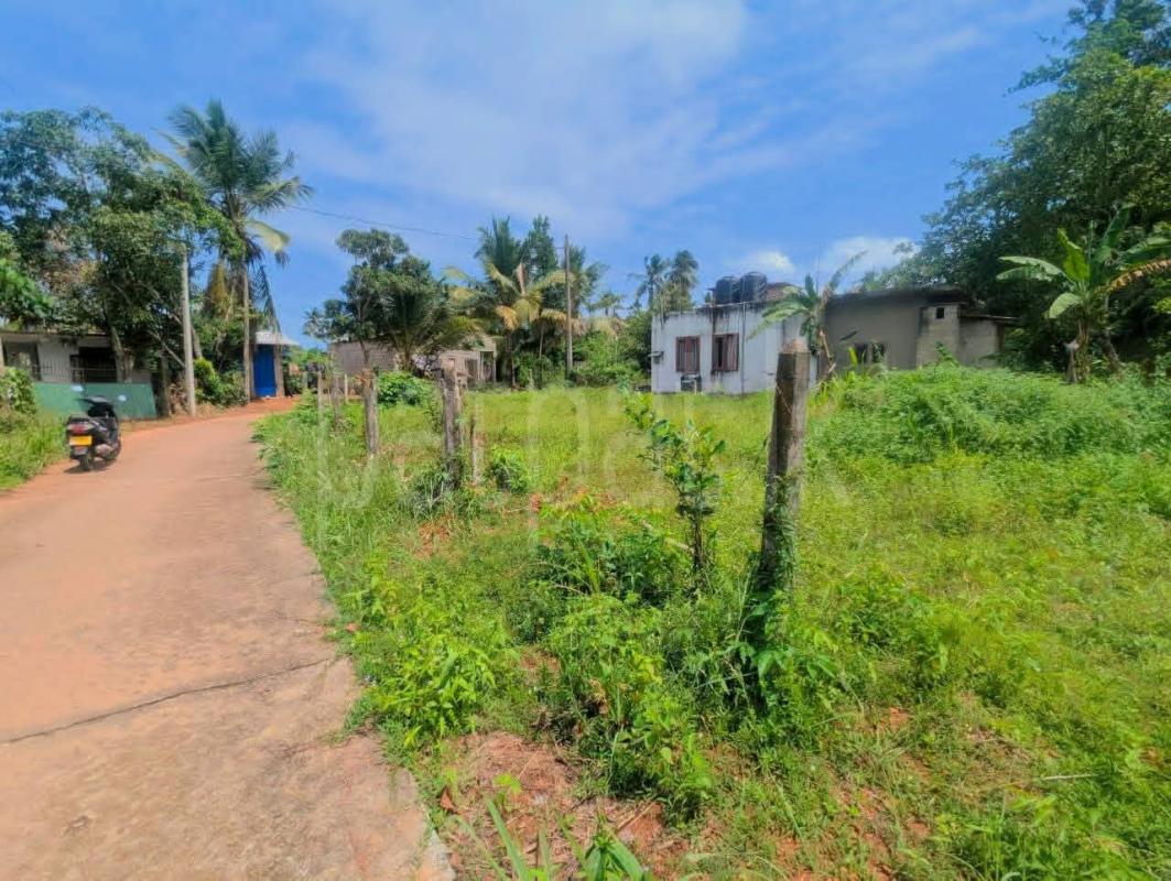 Residential Land for Sale in Gampaha