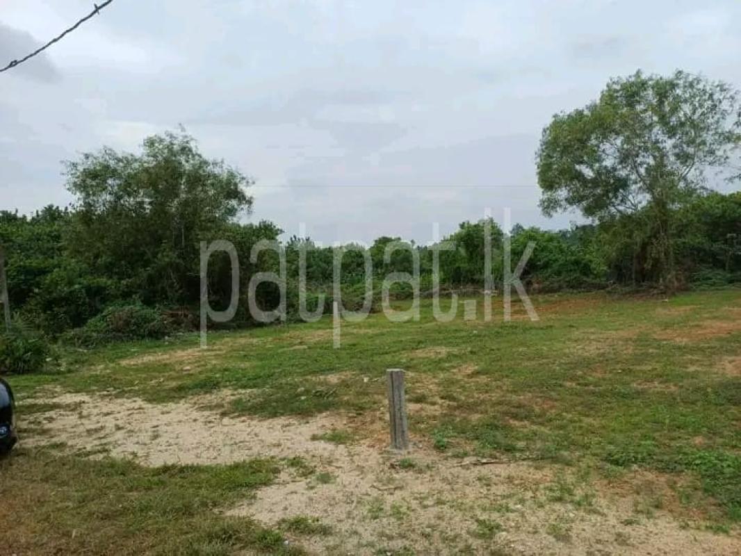 Commercial Land for Sale in Bandaragama ads-image-1