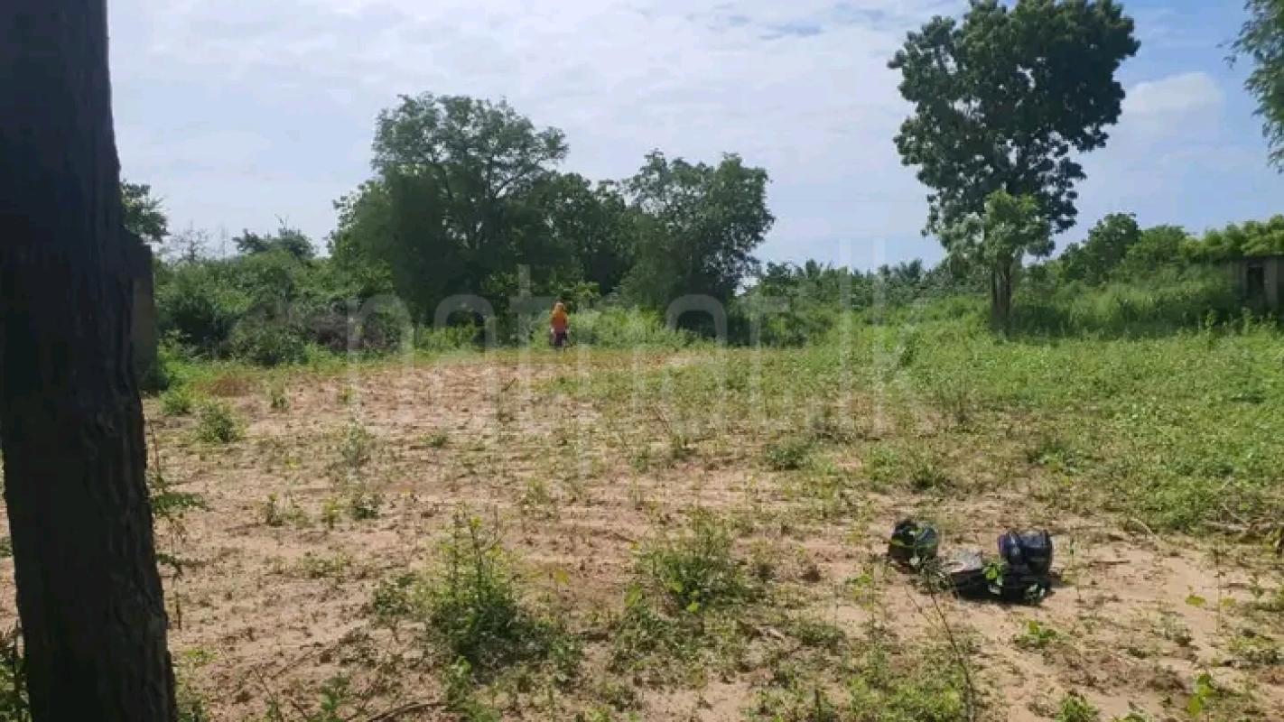 Residential Land for Sale in Tangalla
