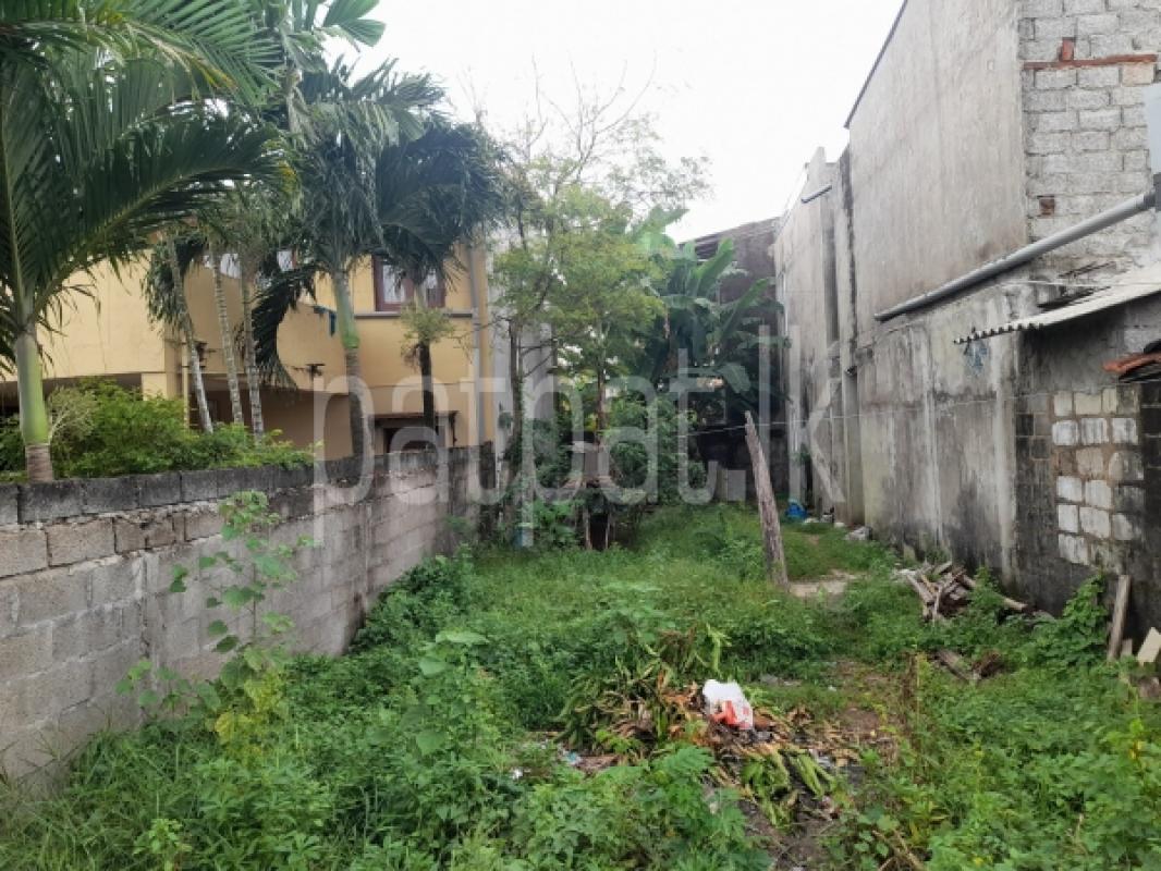 Advertisement image 1