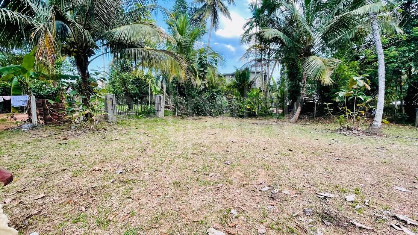 Residential Land for Sale in Kurunegala ads-image-1