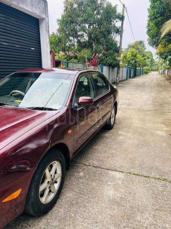 Advertisement image 6