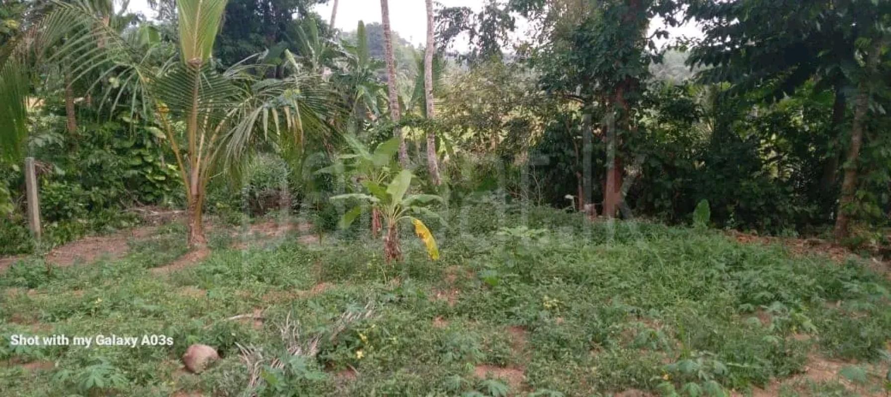 Residential Land for Sale in Piliyandala