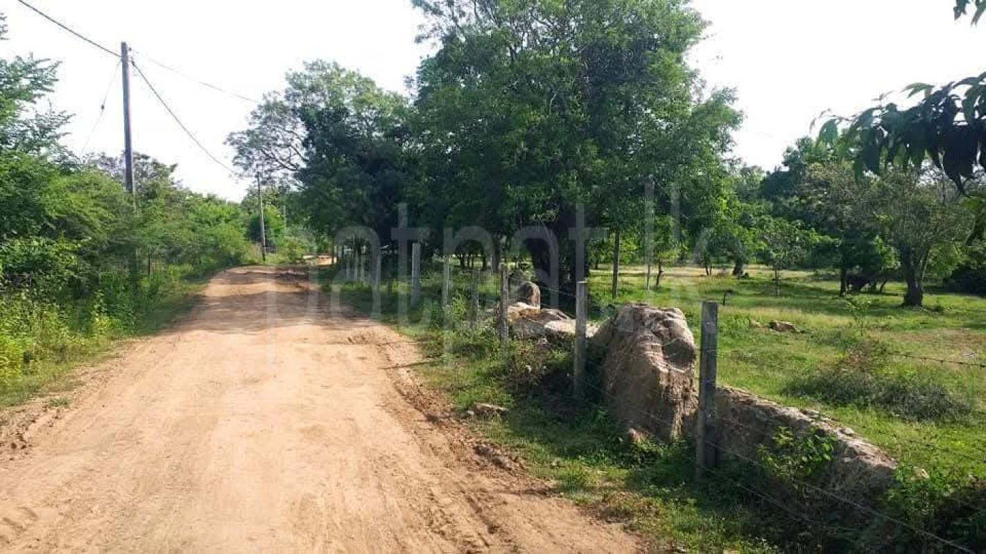 Residential Land for Sale in Kataragama