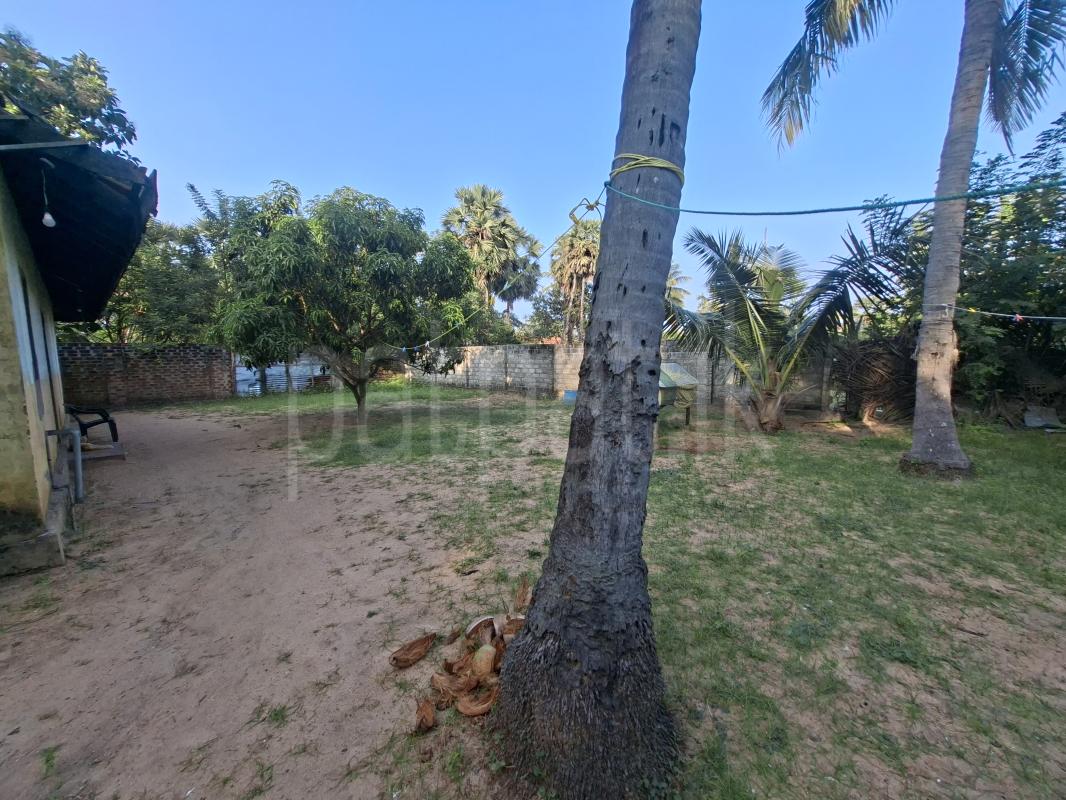 Residential Land for Sale in Pottuvil ads-image-1