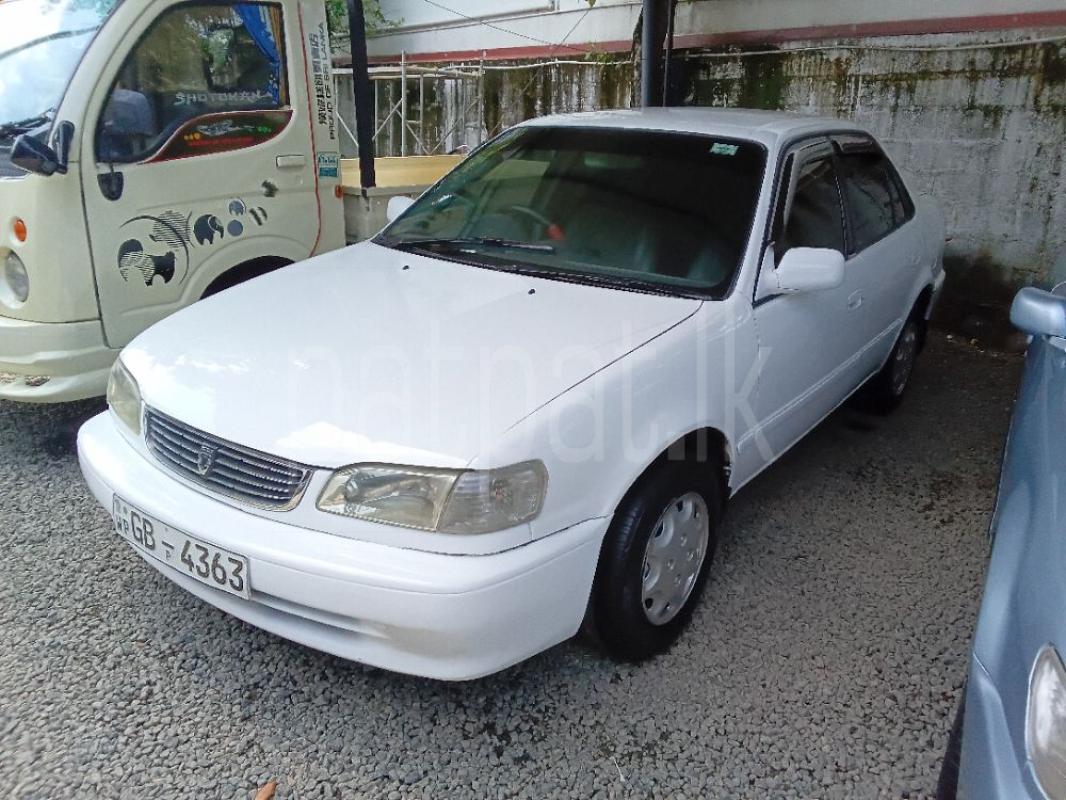 Toyota Corolla 2001 - භාවිතා කරන ලද කාර් sale in Sri Lanka - patpat.lk