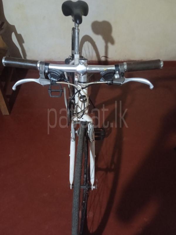 Advertisement image 4