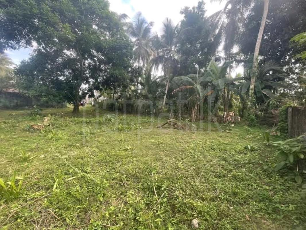 Commercial Land for Sale in Homagama