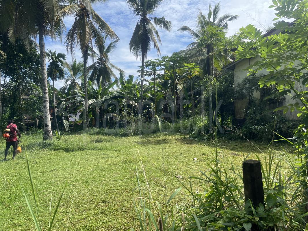 Residential Land for Sale in Kiriwattuduwa ads-image-1