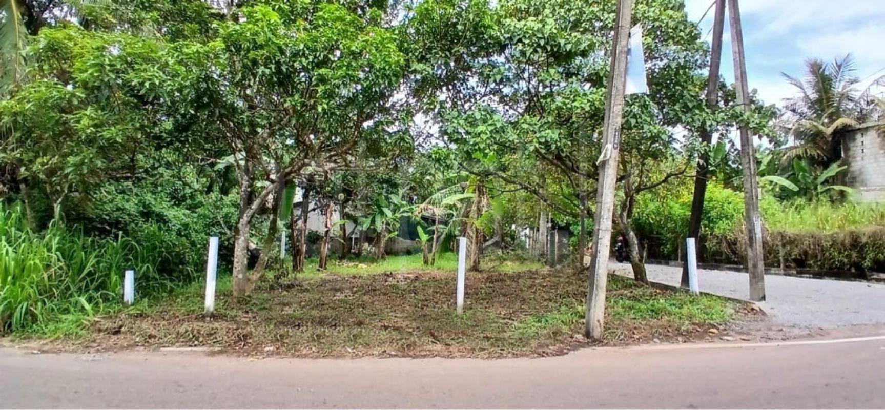 Residential Land for Sale in Madapatha ads-image-1