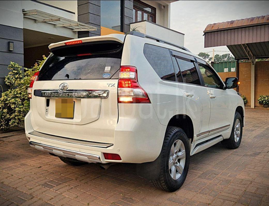 Advertisement image 2