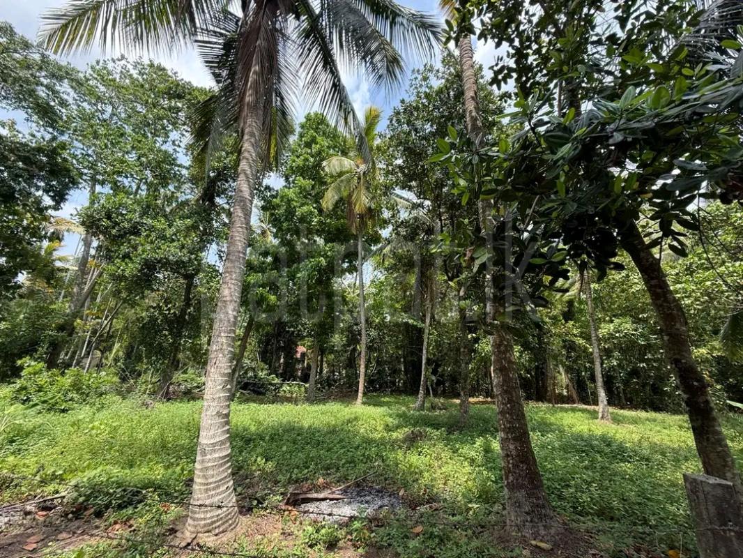 Residential Land for Sale in Kesbewa ads-image-1