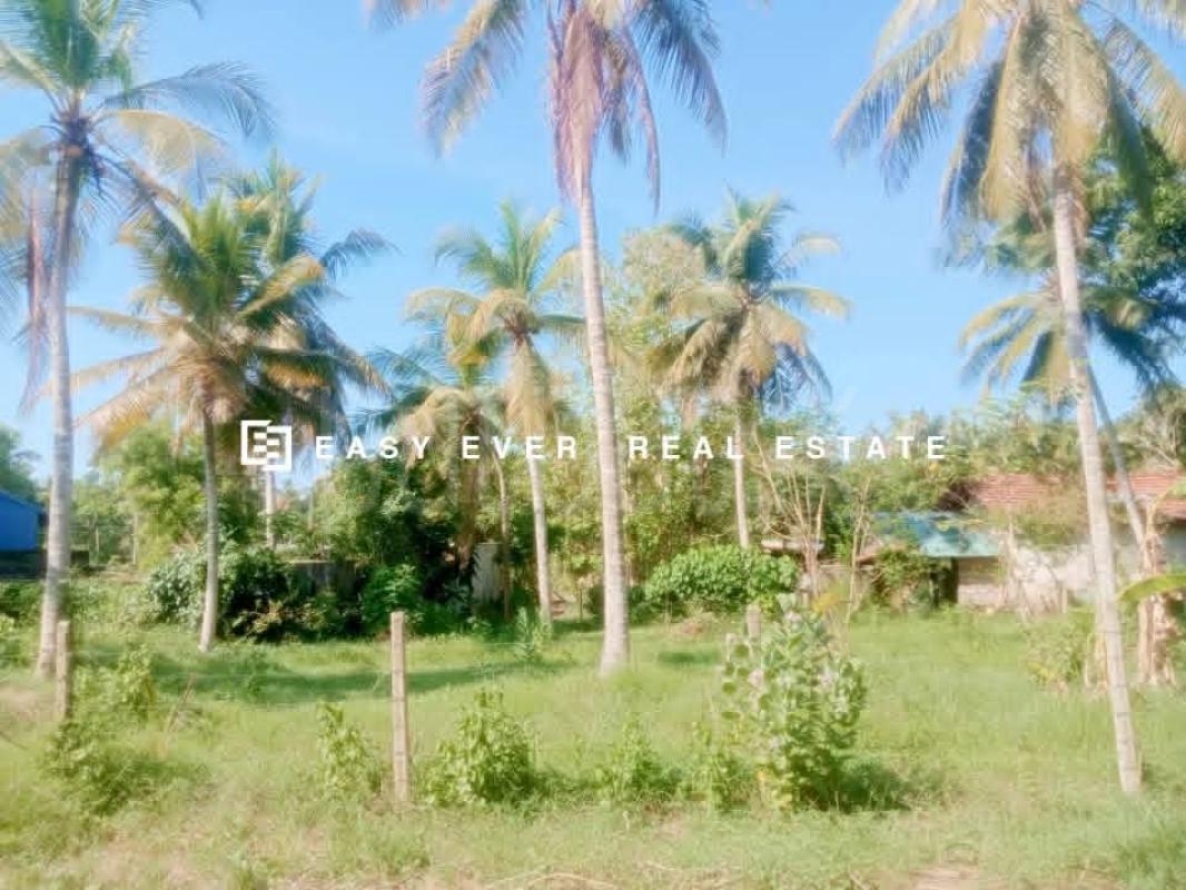 Residential Land for Sale in Kuliyapitiya