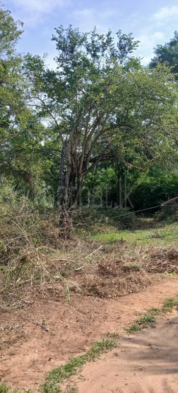 Residential Land for Sale in Kataragama