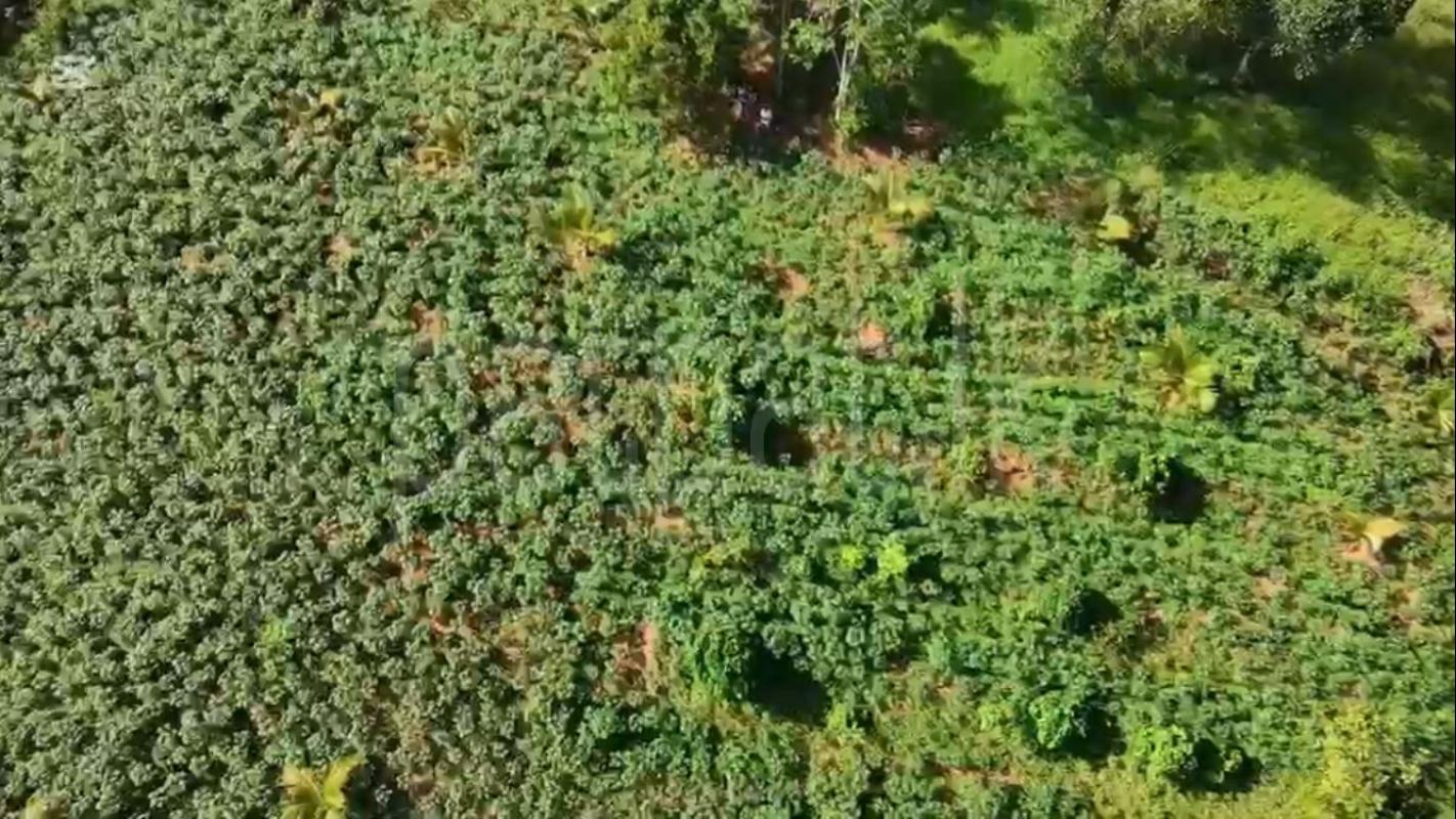 Commercial Land for Sale in Kirindiwela