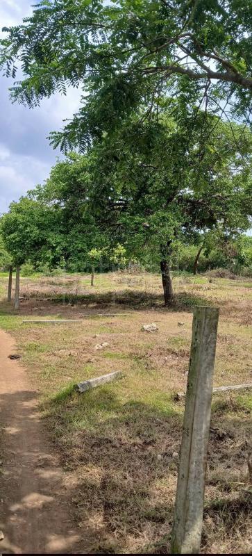 Residential Land for Sale in Kataragama