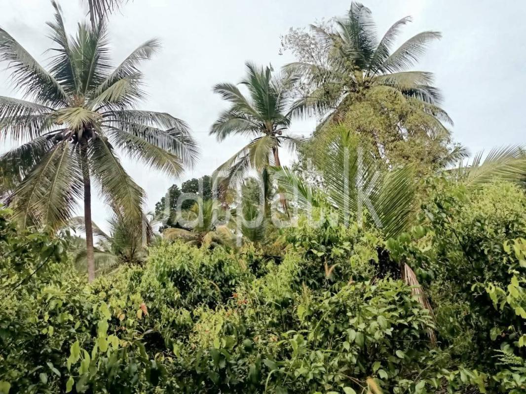 Agricultural Land for Sale in Walasmulla
