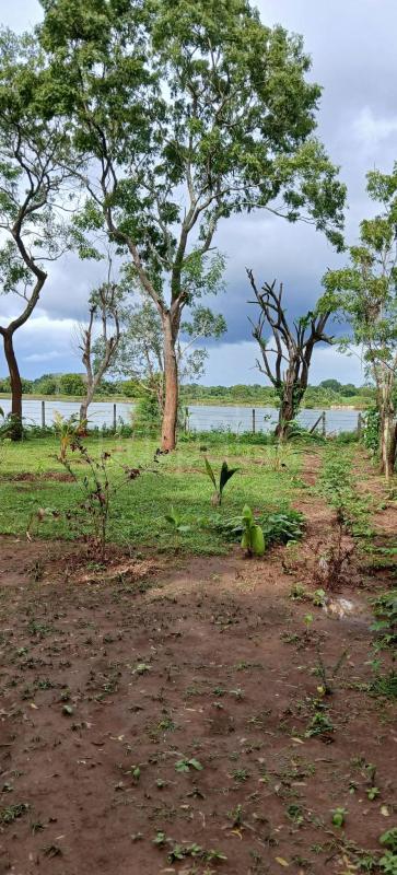 Residential Land for Sale in Sella Kataragama