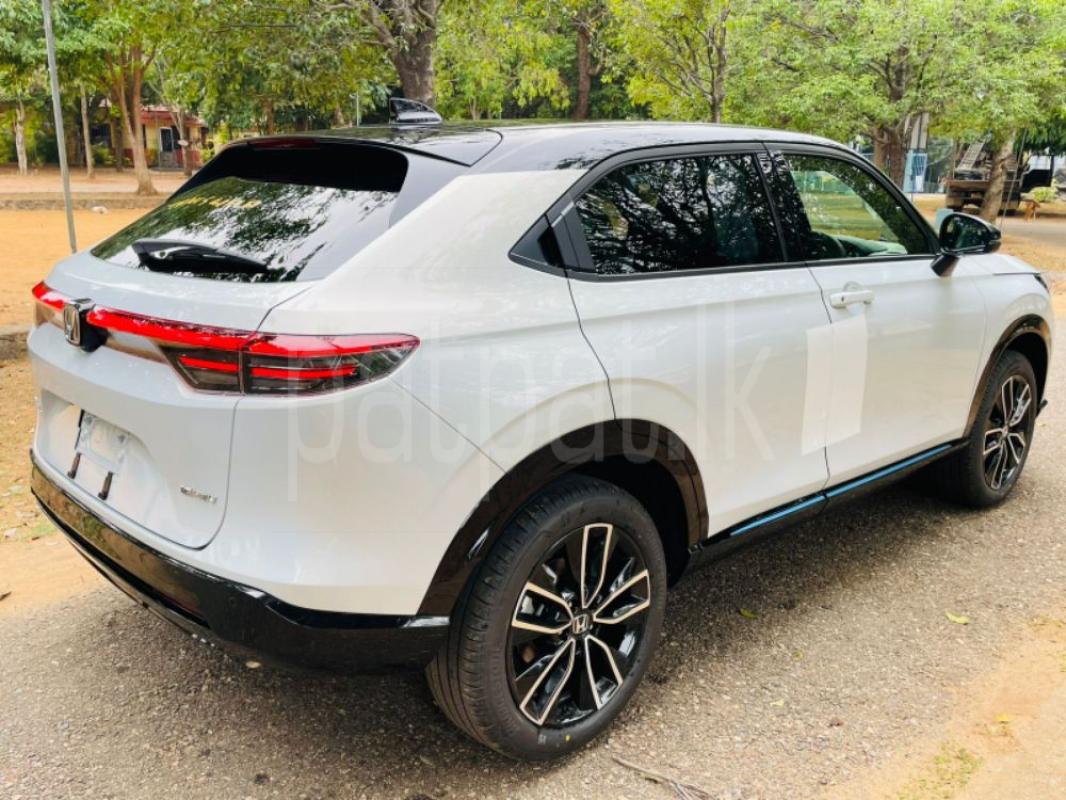 Advertisement image 6