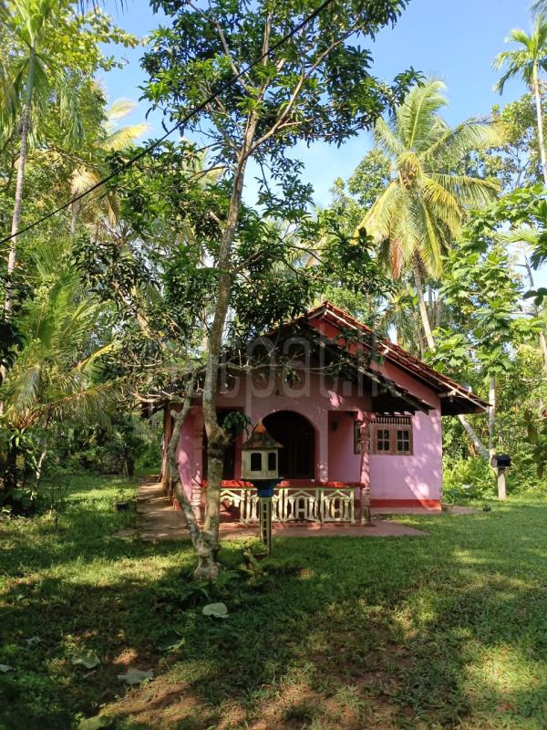 Residential Land for Sale in Hikkaduwa ads-image-1