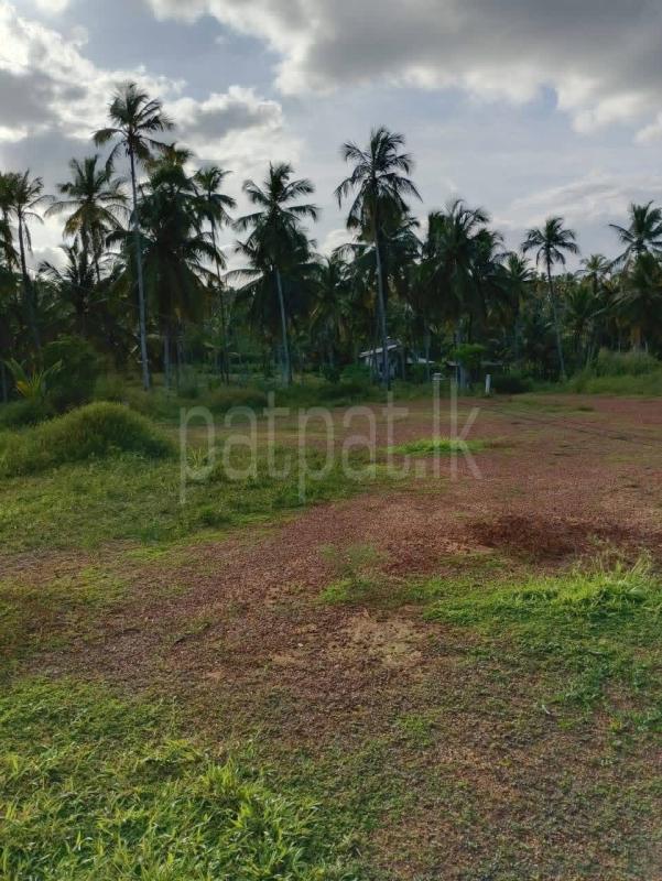 Residential Land for Sale in Mirigama