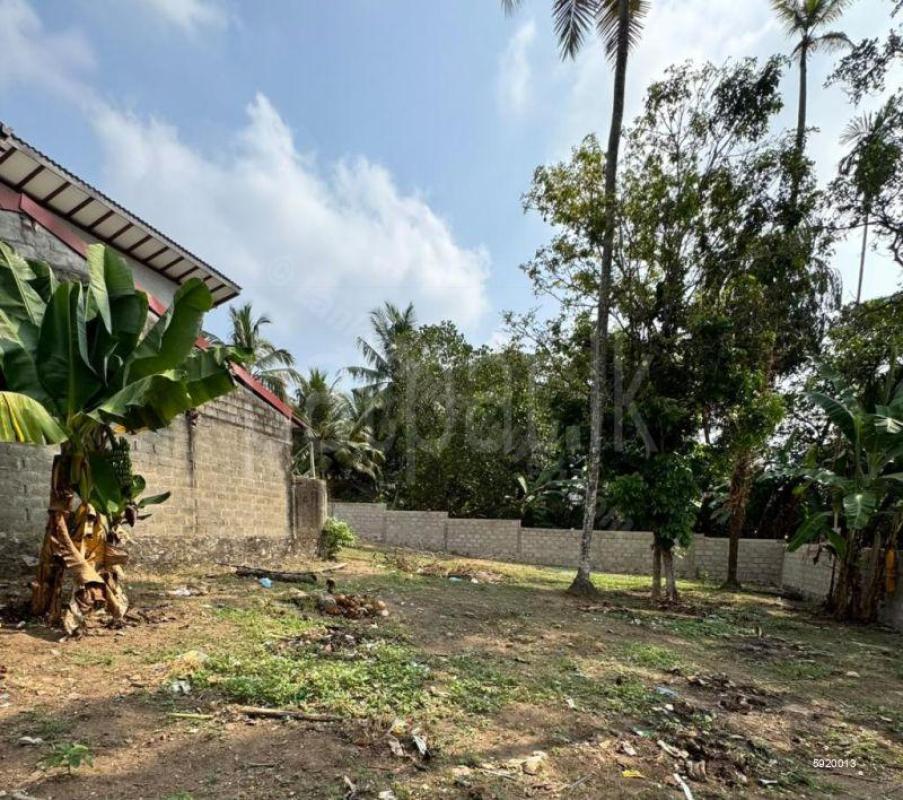 Agricultural Land for Sale in Piliyandala