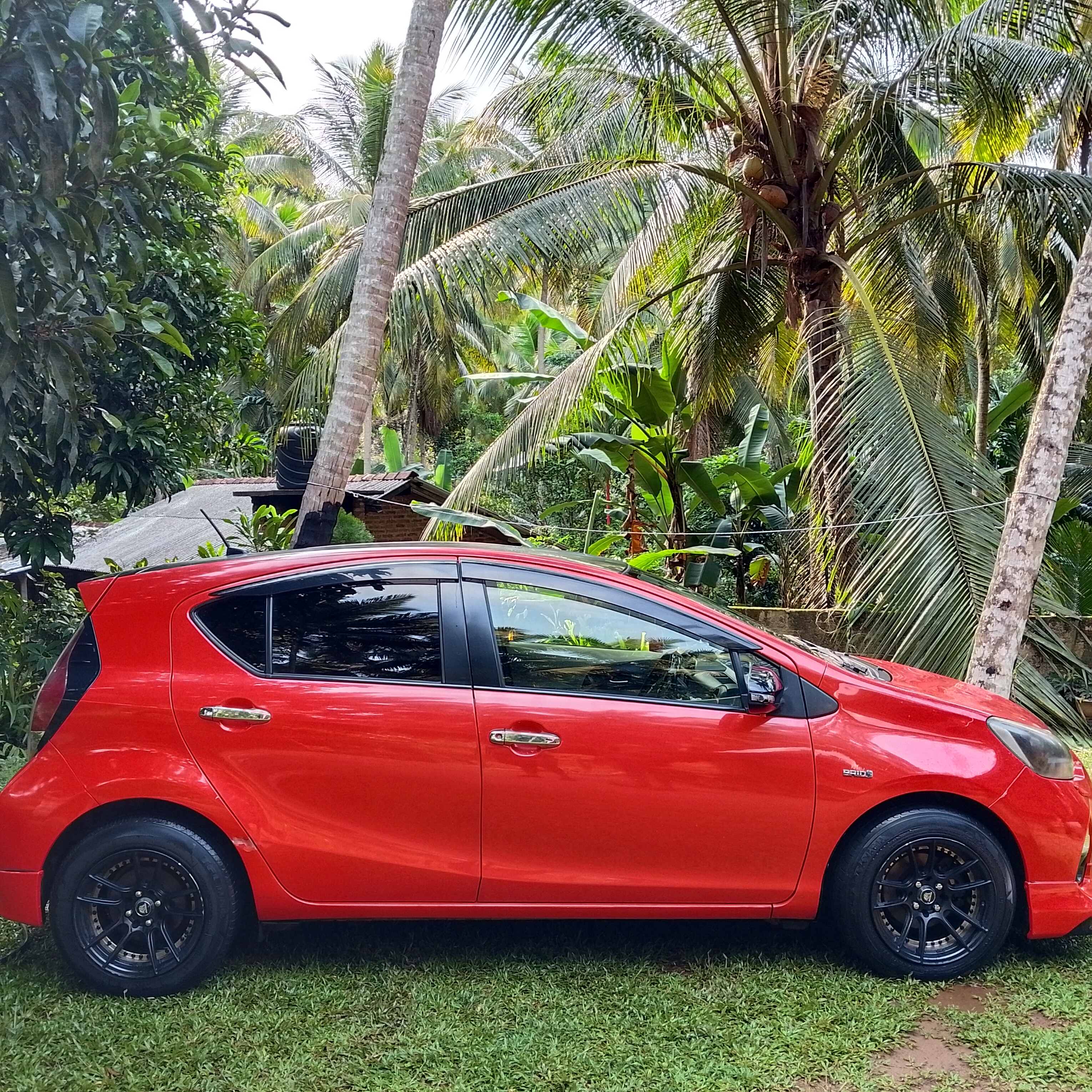 Toyota Aqua 2012 - Used Car sale in Sri Lanka - patpat.lk