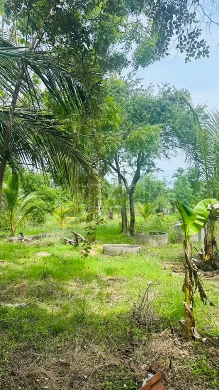 Residential Land for Sale in Kataragama ads-image-1