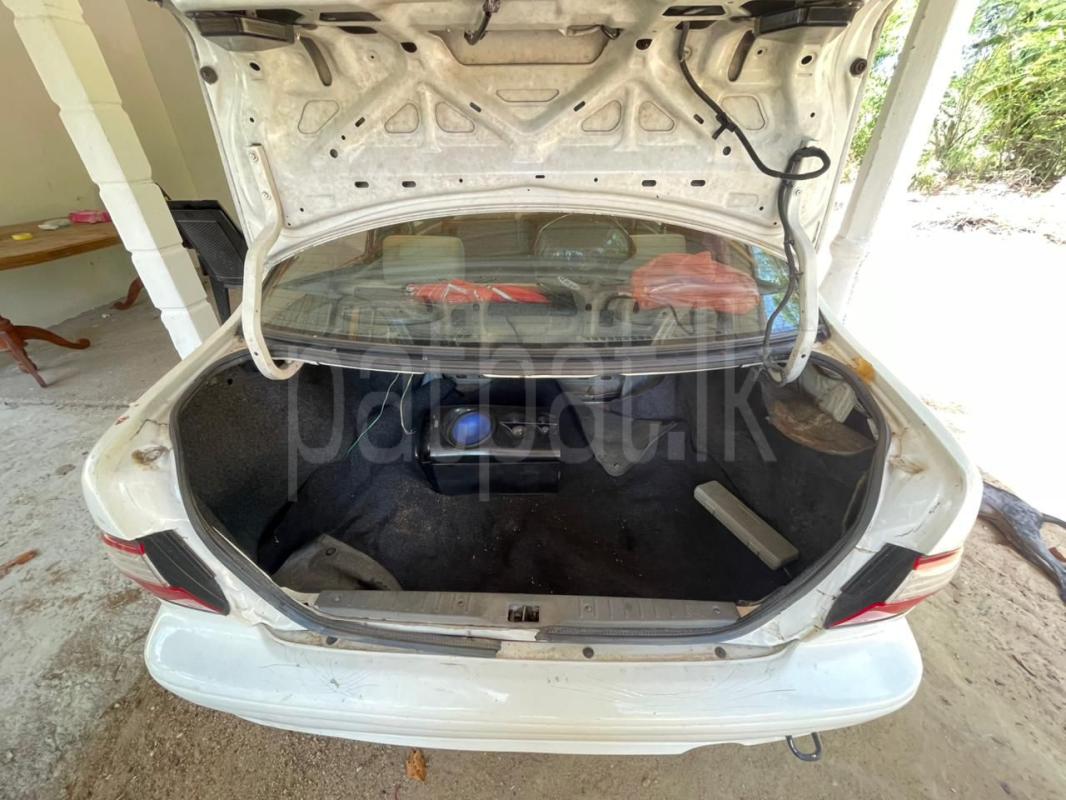 Advertisement image 4