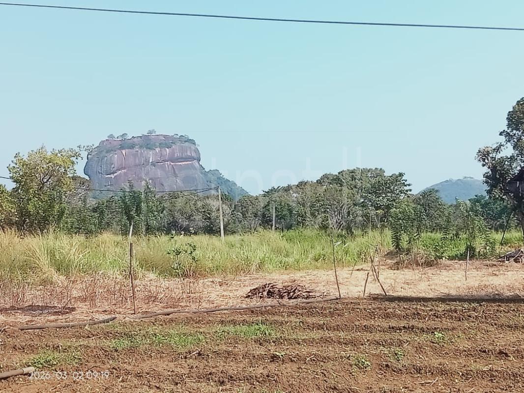 Commercial Land for Sale in Sigiriya ads-image-1