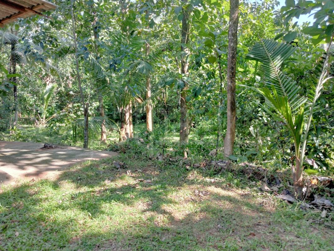 Residential Land for Sale in Katana