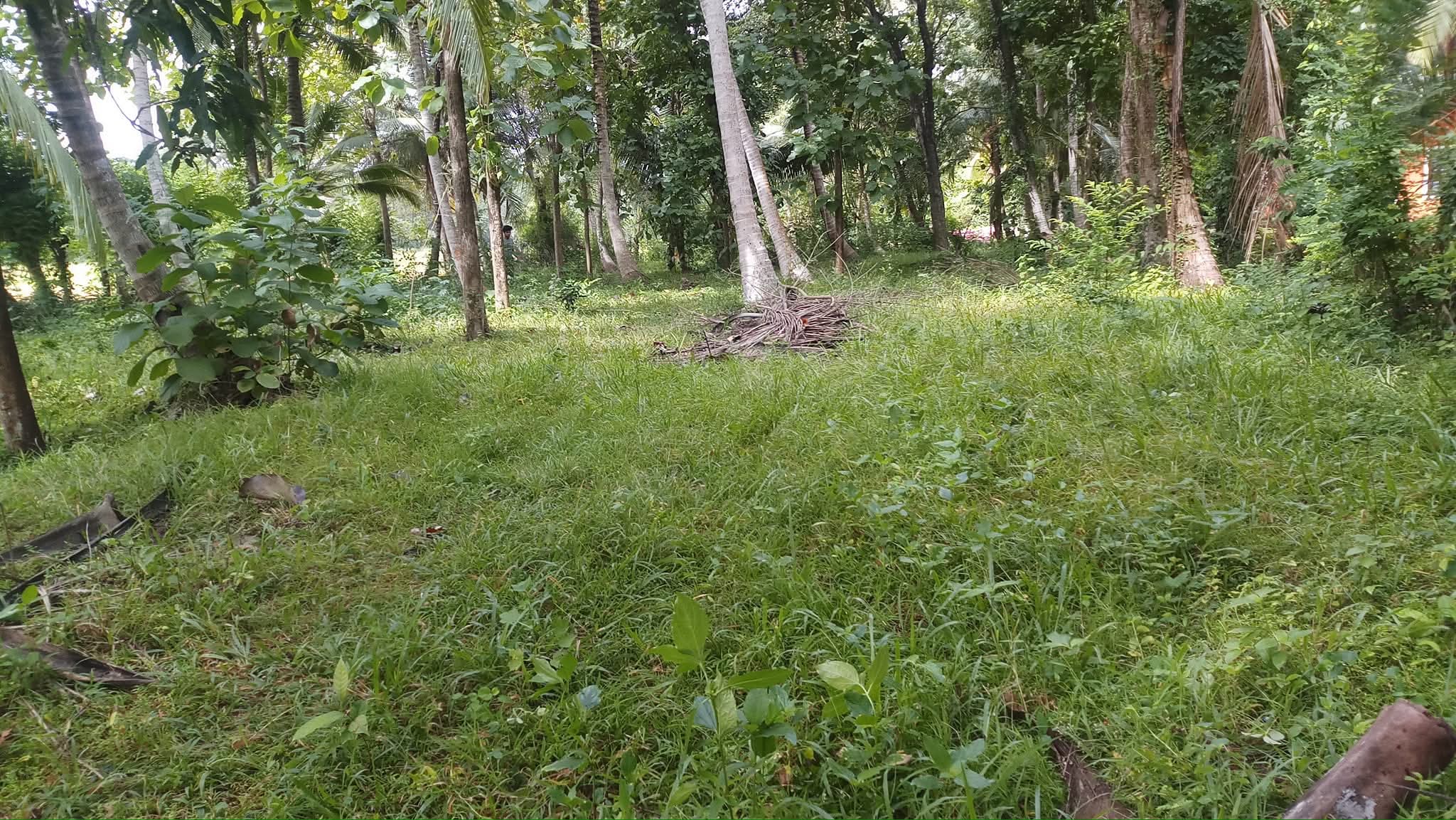 Agricultural Land for Sale in Wariyapola