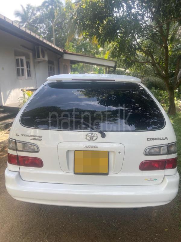 Advertisement image 4